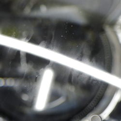 2010341(0100000180376)