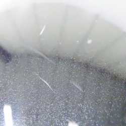 M20570(0300000136556)