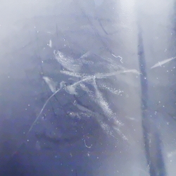 M32069(0300000135551)