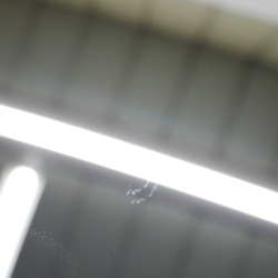 M43369(0300000178284)