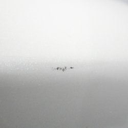 M53470(0300000157594)