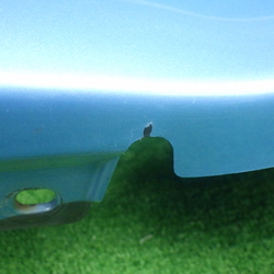 100401(0400000204829)