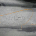 41