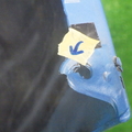47