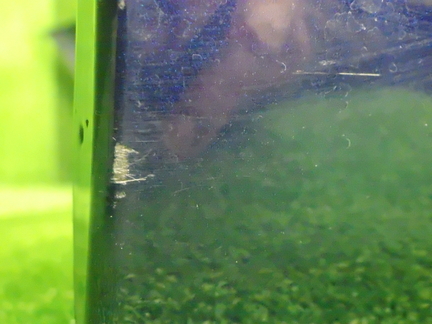 41