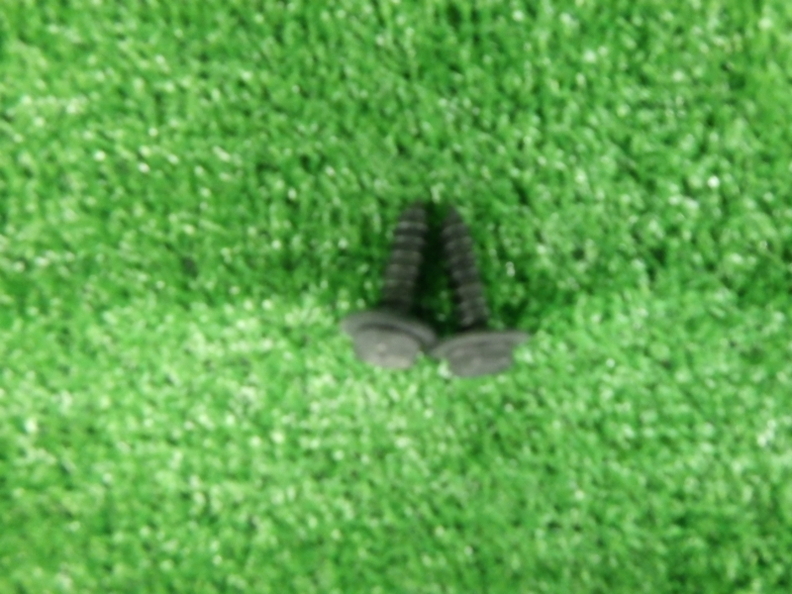 55.jpg