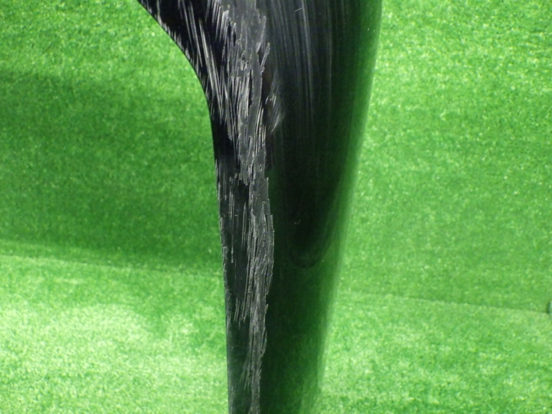 46.jpg