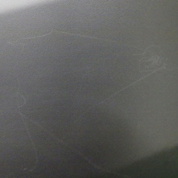 66301(0400000202005)