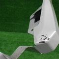 31