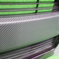 R65301