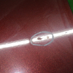 JP32333(0500000166746)
