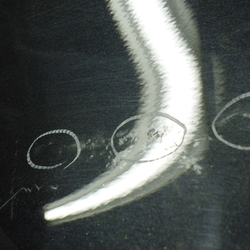 JP37530(0500000205643)