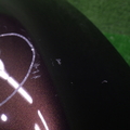 26
