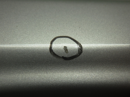 31