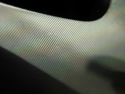 31