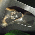 29