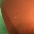 31