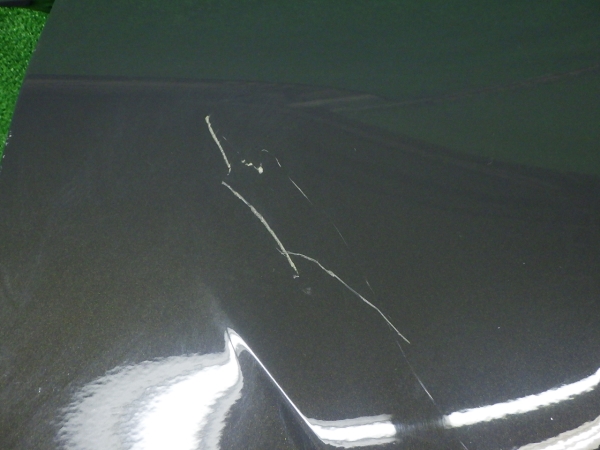 44.jpg