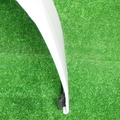31