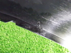 R10101(0400000211390)