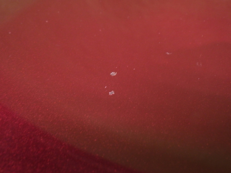 38.jpg